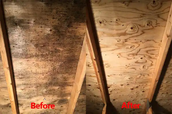 water damage restoration service Magdalena